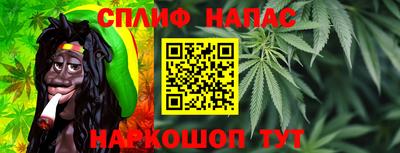 гидра Тулун