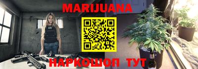 гидра Тулун