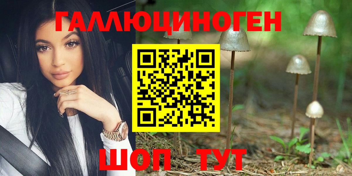 Галлюциногенные грибы GOLDEN TEACHER Чебоксары